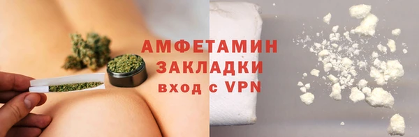 сатива Бронницы