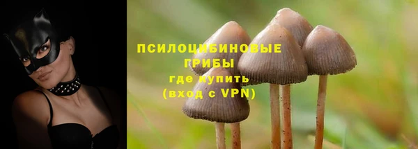 крисы Верхнеуральск