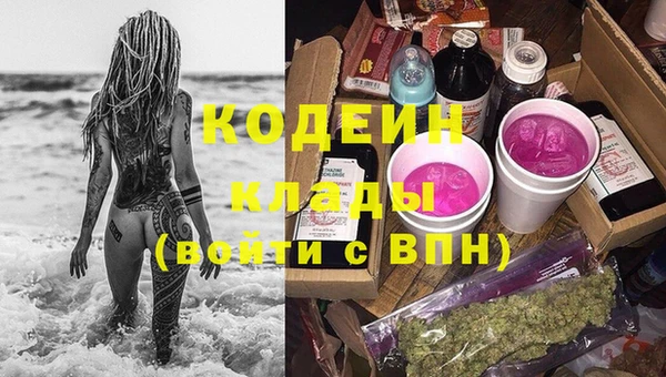 сатива Бронницы