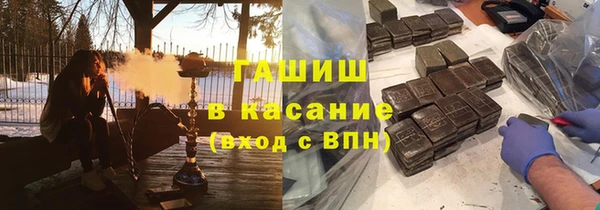 сатива Бронницы